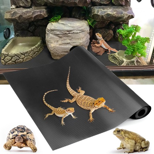 Bearded dragon tank - bearded,
