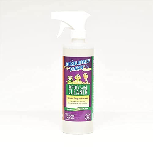 Absolutely clean amazing - absolutely,