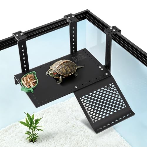 Hanging turtle basking - hanging,