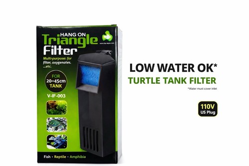 Turtle tank filter low water - turtle,