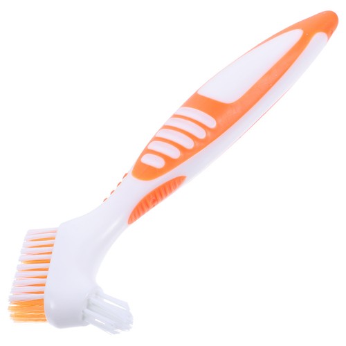 Cleaner for tortoise reptile - tortoise,