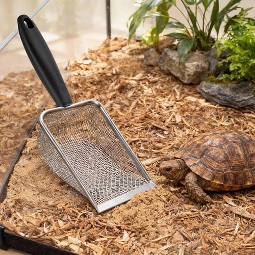 Fine mesh design turtle - design,