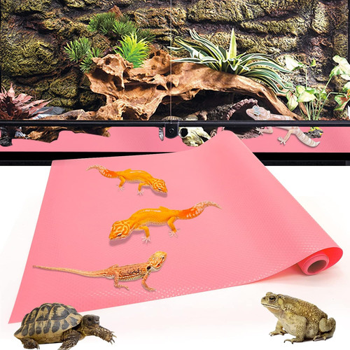 Bearded dragon tank - bearded,