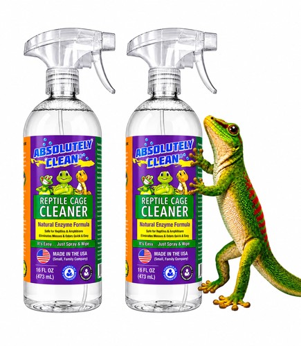 Absolutely clean amazing - absolutely,