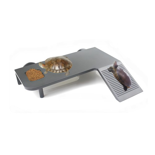 Turtle basking platform stable - turtle,