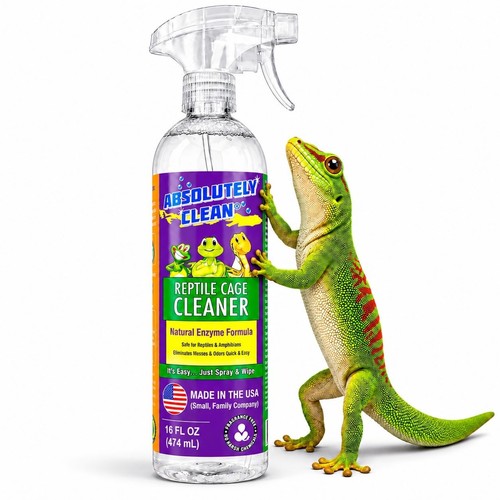 Absolutely clean reptile - absolutely,