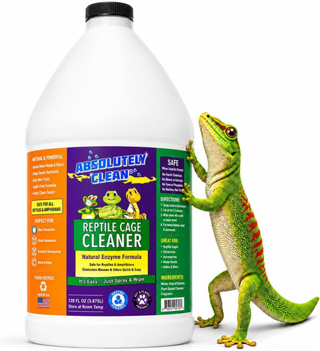 Amazing reptile amphibian - reptile, &