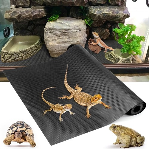 Bearded dragon tank - bearded,