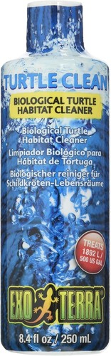 Concentrated biological turtle - concentrated,